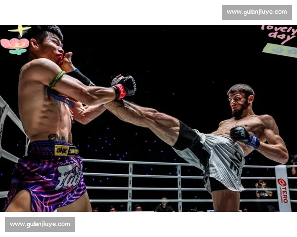 中国功夫对决泰拳传统武学与现代实战的碰撞与思考文化差异全面解读